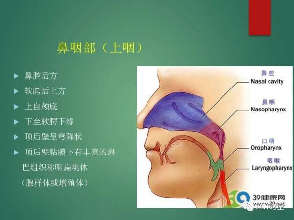 頭頸五官CT斷層解剖圖及常見病影像診斷