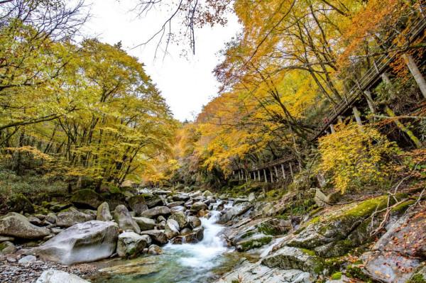 黑熊溝——四川光霧山