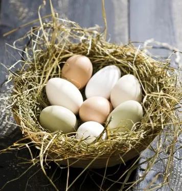 寫給女生的5條建議｜和你的閨蜜互相成為富婆，然後頂峰相見