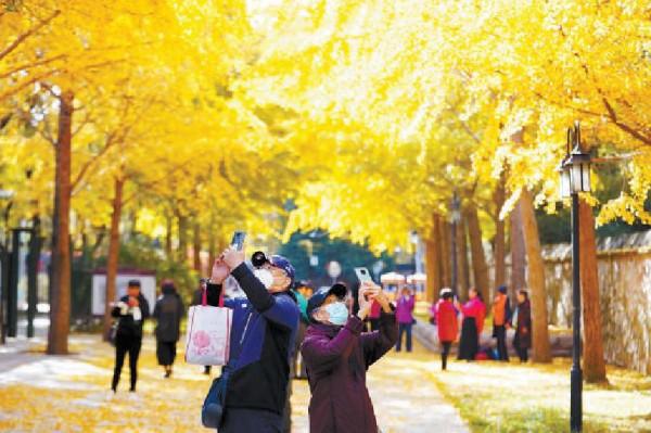 千園之城 層林盡染