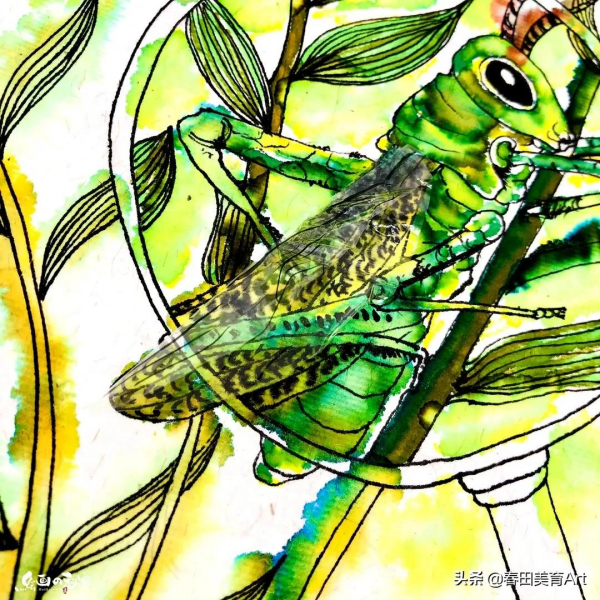 教程丨少兒美術課程《昆蟲記》