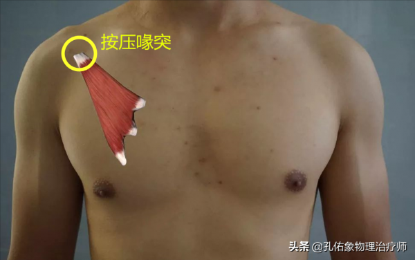 正處在更年期的您，是否遭受著頸肩背痛的折磨？告知您如何應對