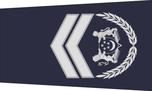 新加坡警銜標識