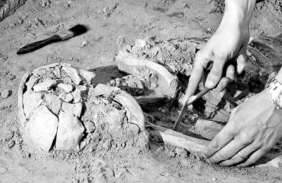 看，動物考古的科技“武器”