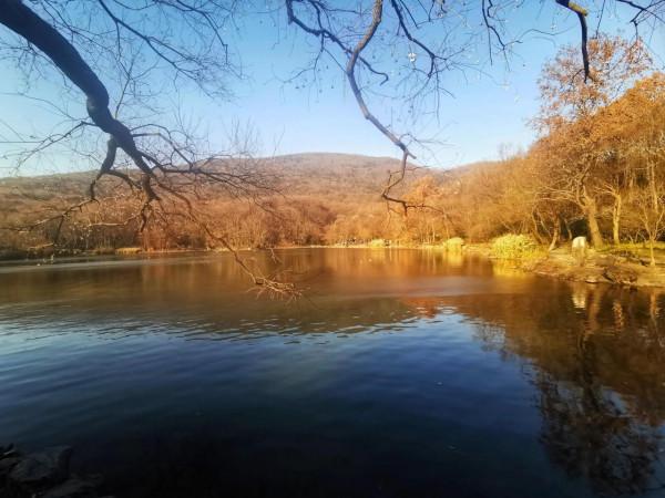 冬日有暖陽 冬日有暖陽