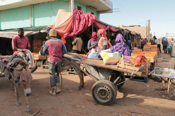 漫步茅利塔尼亞市場,感受非洲的輝煌 漫步茅利塔尼亞市場,感受非洲的輝煌