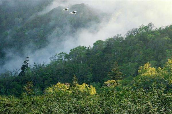 盤點一下，普洱茶10個名山頭，一山一味