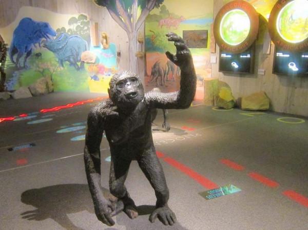 重新整理你對進化論的認知：這些人類家譜成員，都是被進化打敗的