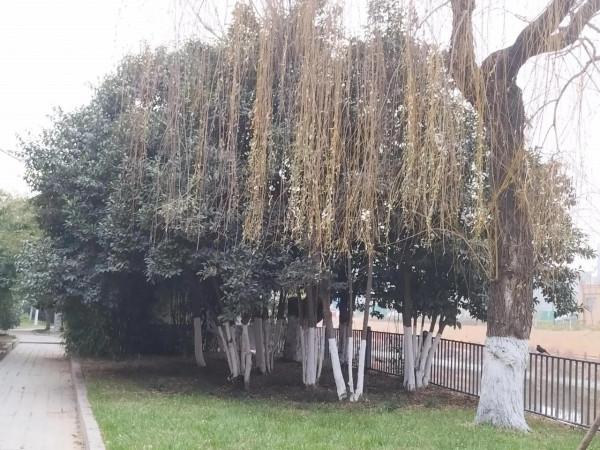 生意人，最大的願望，如何快速賺錢。卻，忽略了薄弱的自然條件