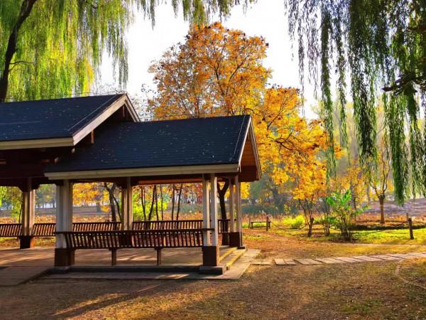 北京玉淵潭公園：如詩如畫的秋日美景