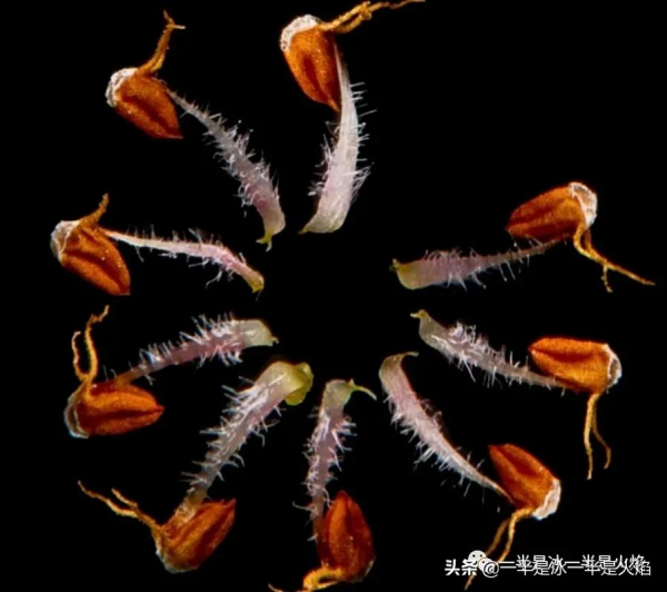 中秋：陰晴圓缺都休說，且喜人間好時節