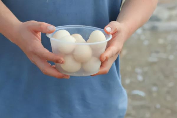 13萬打造6畝新雞場,養雞1千隻,收入未知,養雞人李丹寧決定南下 13萬打造6畝新雞場,養雞1千隻,收入未知,養雞人李丹寧決定南下