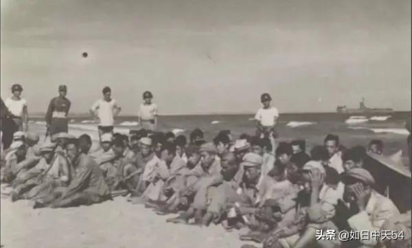 金門戰役，我軍失利的根本原因，是指揮員輕視敵人與指揮混亂