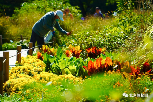 橙黃橘綠時,與您共相約 橙黃橘綠時,與您共相約