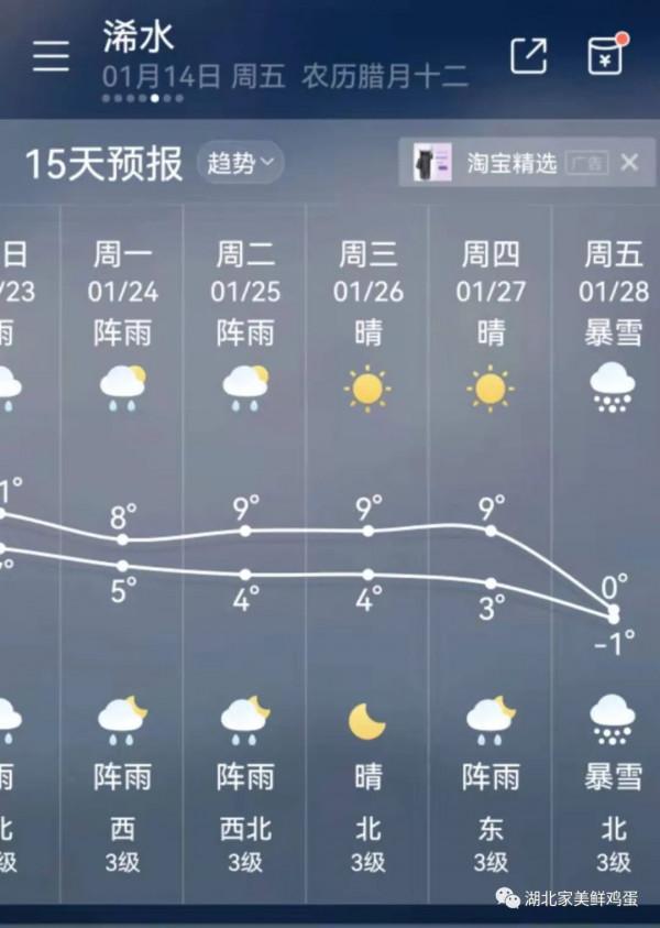 2022年1月14日今日雞蛋價格