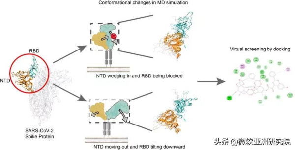 AI挺進生命科學領域 分子動力學模擬加速新冠病毒致病機理研究程序 AI挺進生命科學領域 分子動力學模擬加速新冠病毒致病機理研究程序
