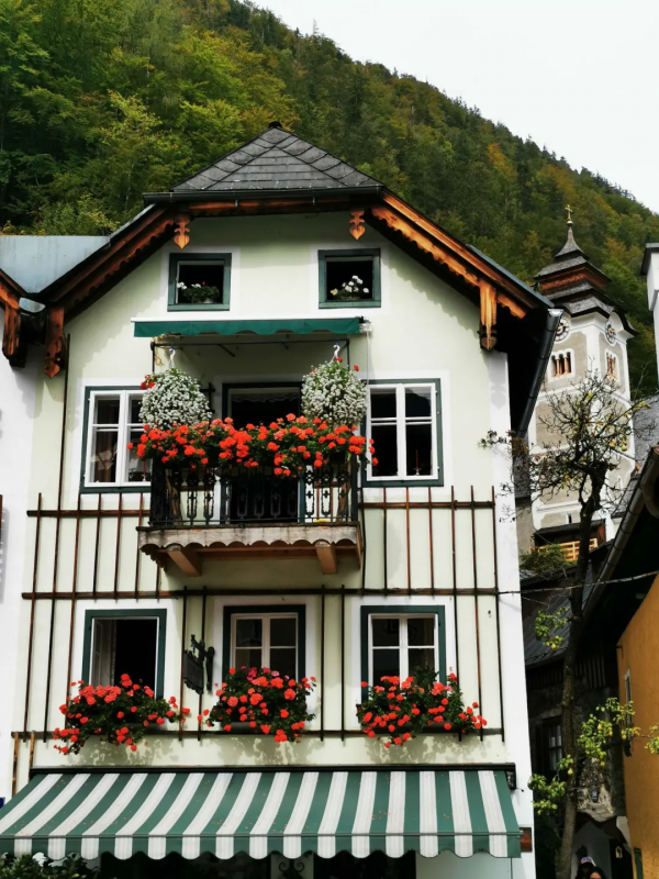 東北花友走遍歐洲著名花園,回國後建了座四季有花的北方花園 東北花友走遍歐洲著名花園,回國後建了座四季有花的北方花園