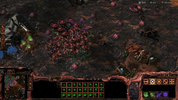 黃金艦隊威名赫赫，異蟲如何應對艦隊開？