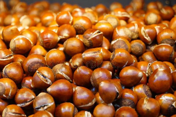 隔壁的陳伯伯去世了,凌晨三點,我卻聽到了李媽媽的一陣狂笑 隔壁的陳伯伯去世了,凌晨三點,我卻聽到了李媽媽的一陣狂笑