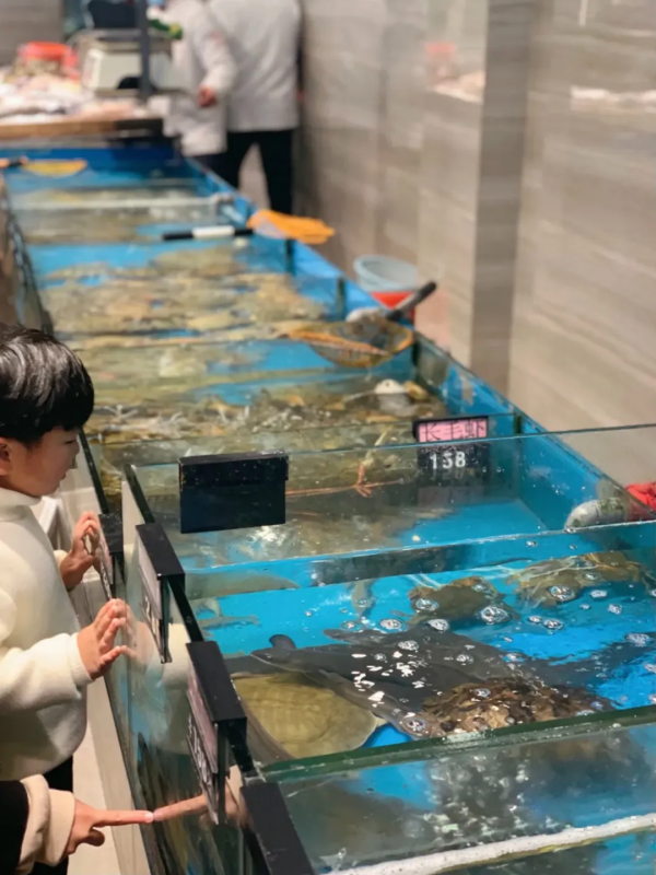 被賺錢耽誤的好好吃地方，一天能打11個飽嗝