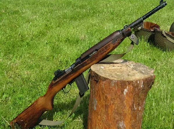 西南匪首“夜折香花”，被民兵斬斷三根手指，仍負隅頑抗