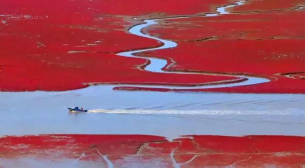 醉美中國，在秋天