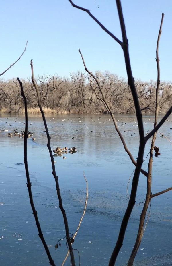 今天進頤和園西門,沿著西牆邊的路走一段,歲月靜好啊 今天進頤和園西門,沿著西牆邊的路走一段,歲月靜好啊