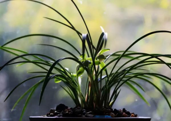 手串盤壞了別扔,說不定就價值上萬 手串盤壞了別扔,說不定就價值上萬