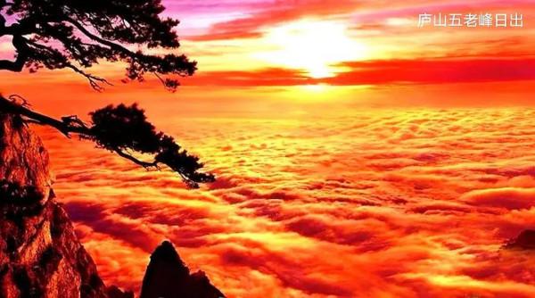 夕陽無限好，醉美夕陽