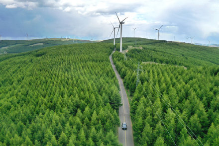 河北張家口:六月的草原天路 河北張家口:六月的草原天路