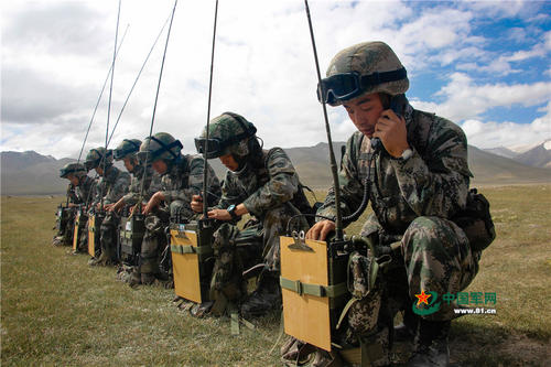 兵種:軍種之內劃分類別 兵種:軍種之內劃分類別