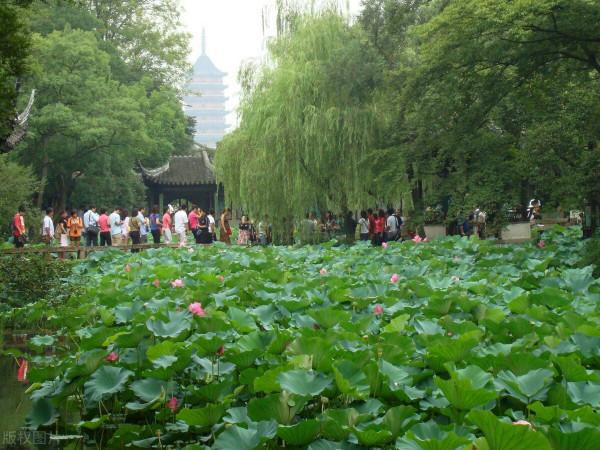 東方文學《觀雨賞荷，風乾露枝留殘香，誰人為此建暖房》