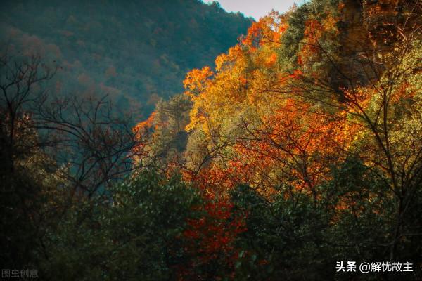 蜀道亞高原,正是浪漫紅葉季,四川這裡等你踏秋賞美景 蜀道亞高原,正是浪漫紅葉季,四川這裡等你踏秋賞美景