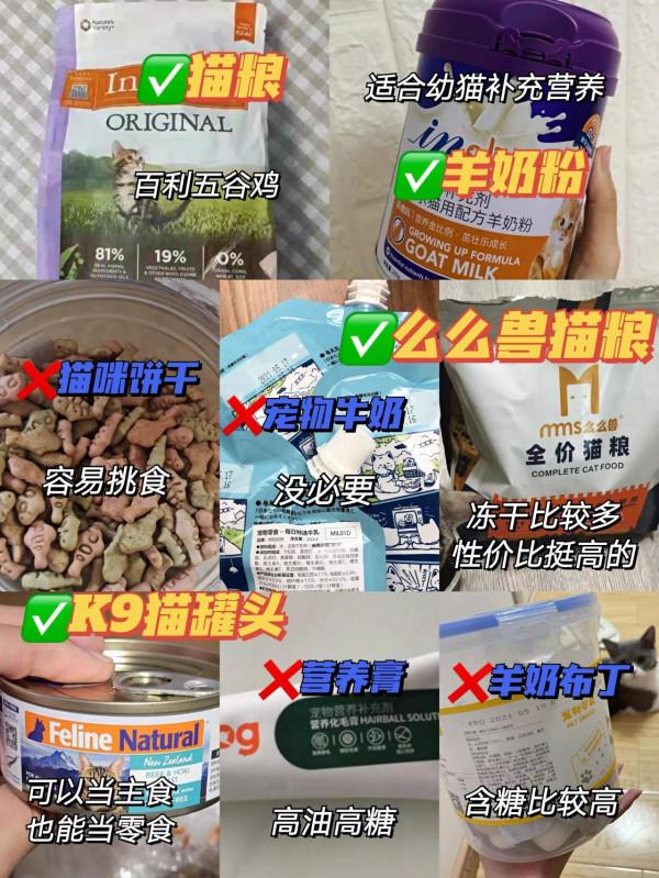 為什麼你養貓很費錢？原因在這呢