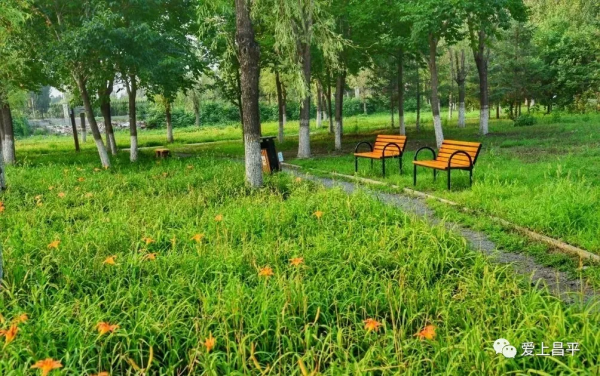 超全!京郊昌平人家門口賞景好去處,健康步道走起來 超全!京郊昌平人家門口賞景好去處,健康步道走起來