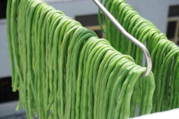 曬豆角幹用焯水嗎?教你正確的做法,曬乾燉肉特別香,放一年不壞 曬豆角幹用焯水嗎?教你正確的做法,曬乾燉肉特別香,放一年不壞