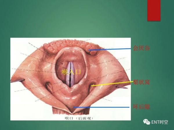 頭頸五官CT斷層解剖圖及常見病影像診斷
