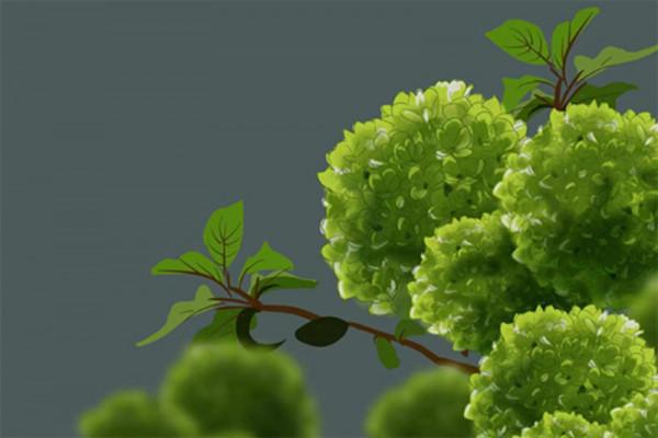 林草科普|為什麼自然界中少有綠色的花？