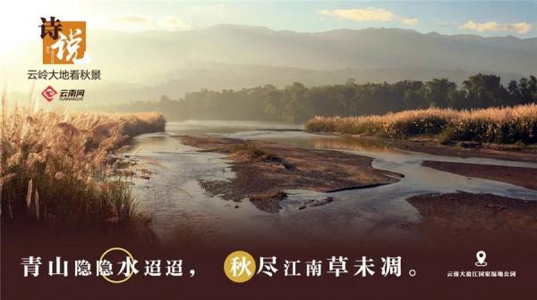 絕美！當雲嶺秋日美景遇上古詩詞