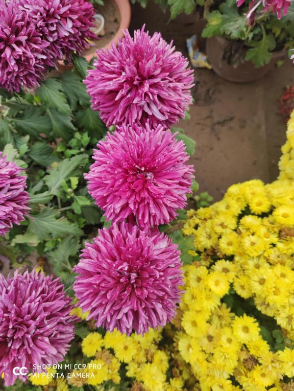 你與家人朋友團圓,他卻形隻影單,是什麼體驗? 你與家人朋友團圓,他卻形隻影單,是什麼體驗?