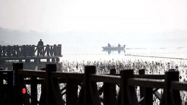 淮陽龍湖國家溼地公園裡的這些可愛的鳥,你見過多少? 淮陽龍湖國家溼地公園裡的這些可愛的鳥,你見過多少?