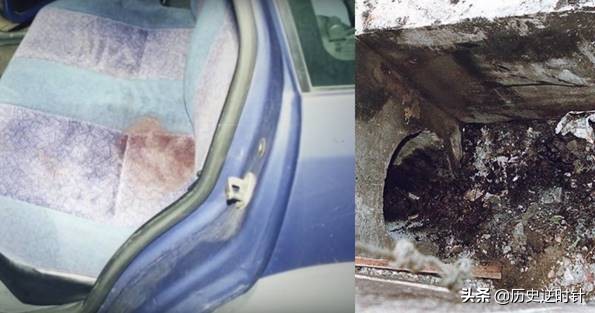 女跆拳道頂尖高手，突遇歹徒應對失常，兩天後成一具黑炭