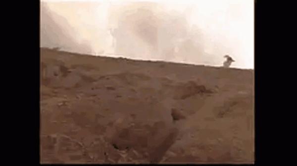 6位女星演繹“小龍女出場”,看過才知啥叫脫俗,啥叫趕鴨子上架 6位女星演繹“小龍女出場”,看過才知啥叫脫俗,啥叫趕鴨子上架