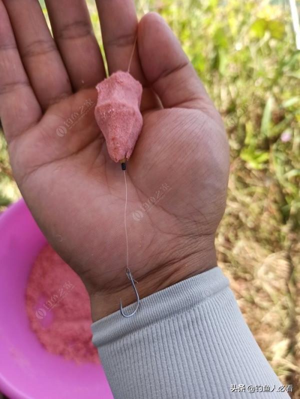 湘江垂釣鰱鱅與小結 湘江垂釣鰱鱅與小結