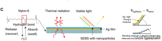 科學家:冬暖夏涼的新衣物,可開啟冷卻通風口 科學家:冬暖夏涼的新衣物,可開啟冷卻通風口