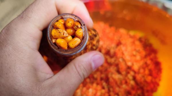 冬季野釣小魚鬧窩？不存在，我已研究出獨家配方，只取窩裡大鯽魚