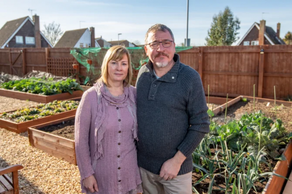 英國夫婦在自家花園裡種菜，一年後收到一封信，高興不起來