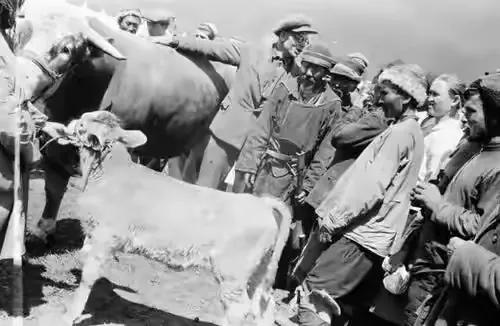 軍史揭秘:新中國開國少將最年輕的究竟是誰?不是人們熟知的吳忠 軍史揭秘:新中國開國少將最年輕的究竟是誰?不是人們熟知的吳忠