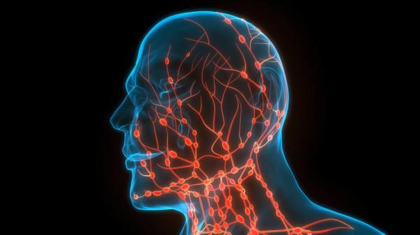 淋巴腫痛最容易被5種病牽連,伴隨這種特徵很危險 淋巴腫痛最容易被5種病牽連,伴隨這種特徵很危險