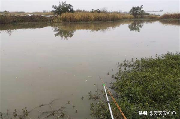 秋季是釣魚的旺季，貌似什麼天氣魚都好釣，不過最好還是這種天氣